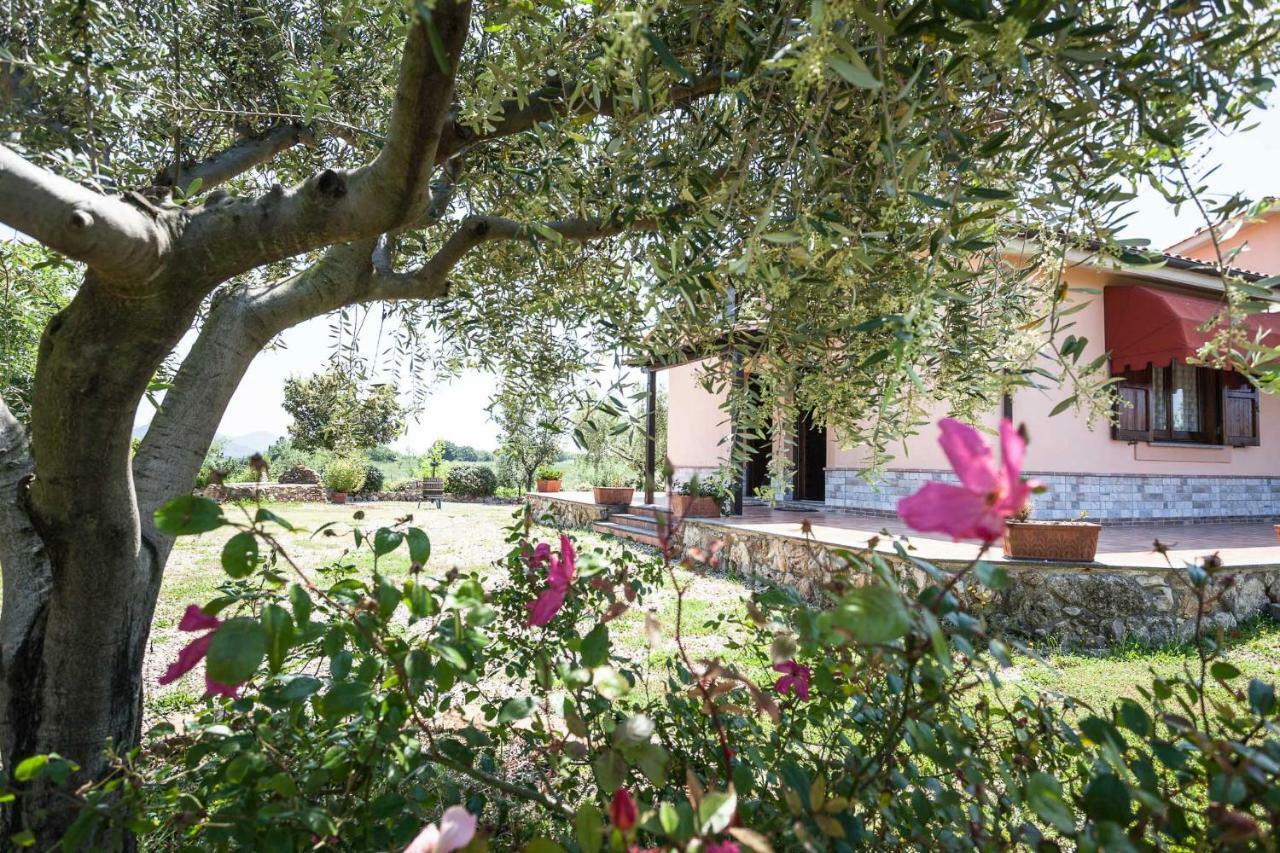 Agriturismo Casale Sasso Cerveteri Exterior foto